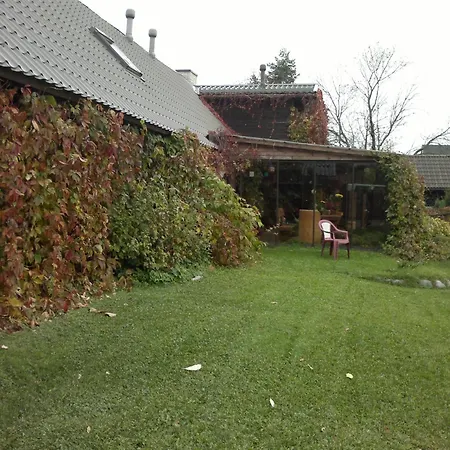 Laane Pansion Bed & Breakfast