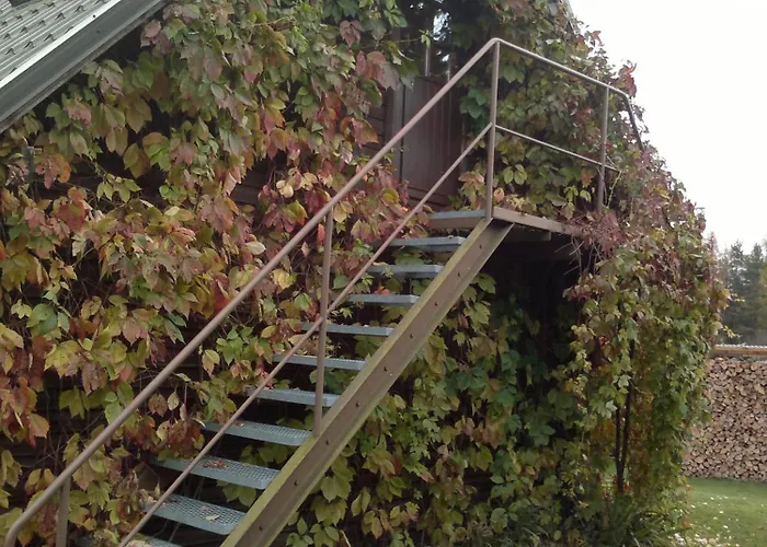 Laane Pansion Nocleg ze śniadaniem *